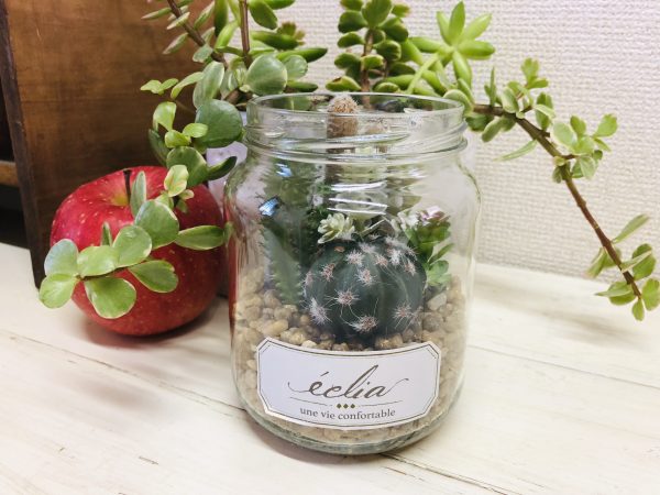 【KISHIMA アーティフィシャルグリーン】置いておくだけで空気がきれいになるフェイクグリーン